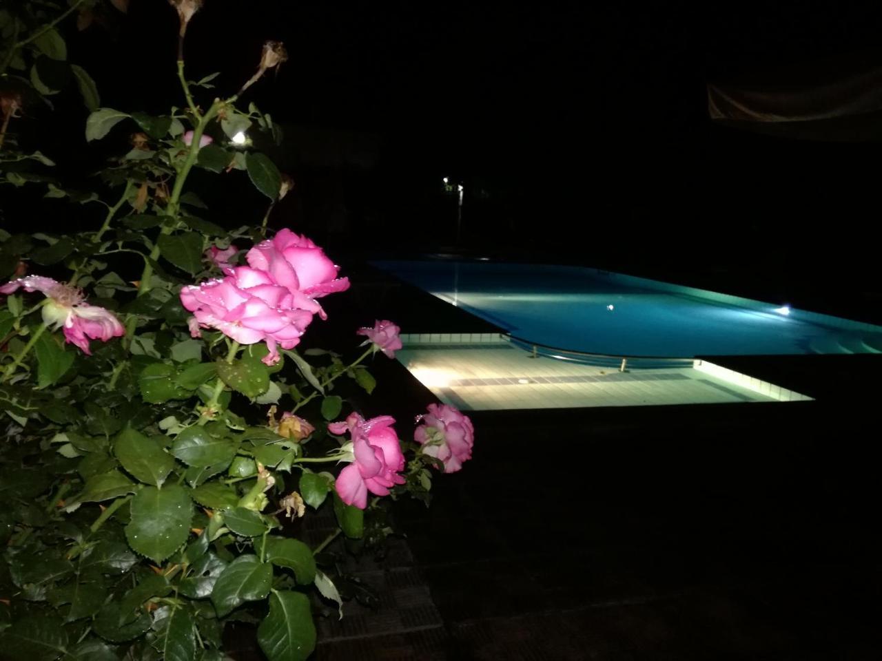 Prespa Resort & Spa Platy  Exteriör bild